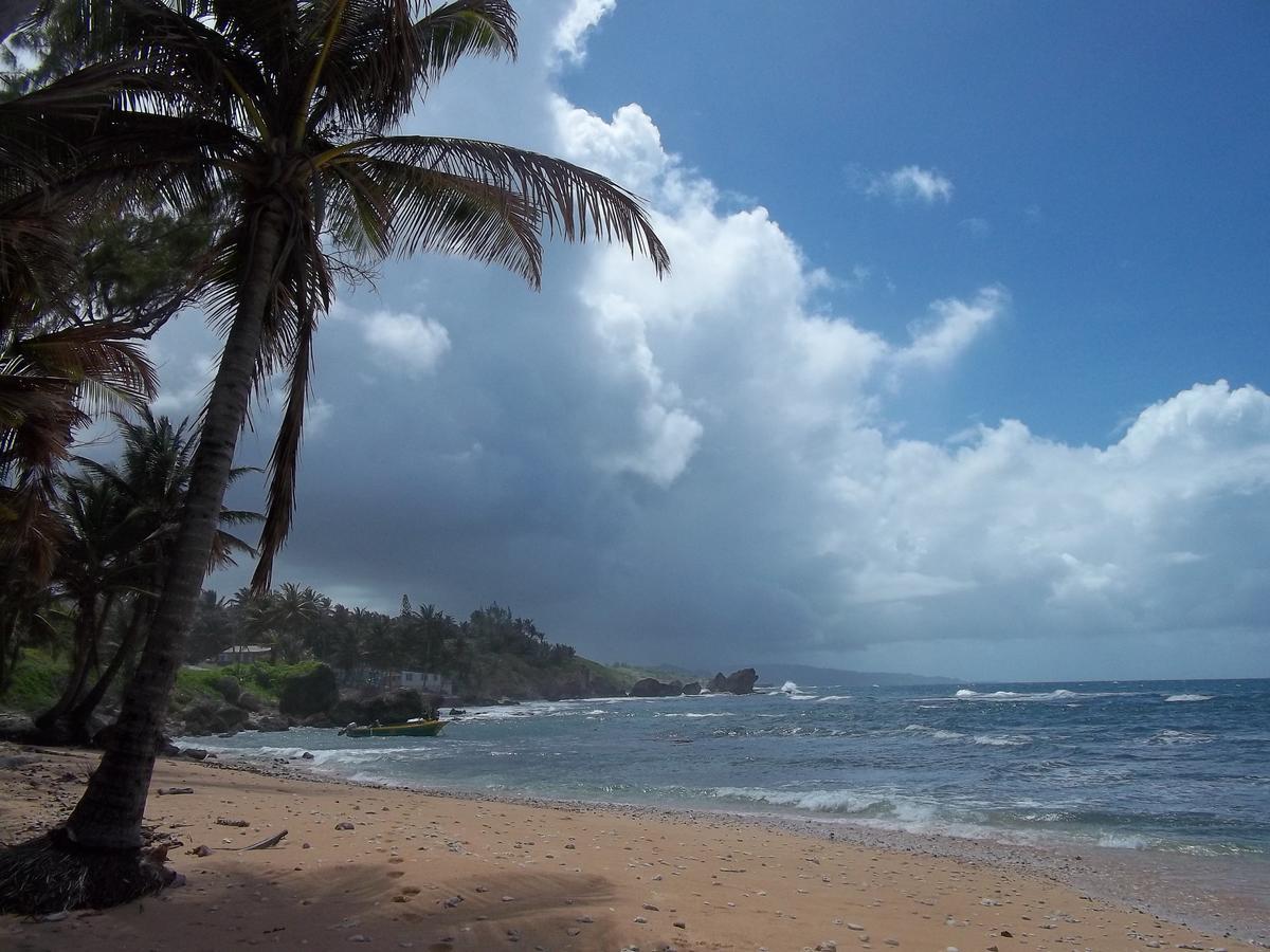 Ocean Ridge At Long Beach كرايست تشيرش المظهر الخارجي الصورة